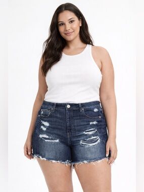 American Eagle Distressed Denim Shorts Size 12
